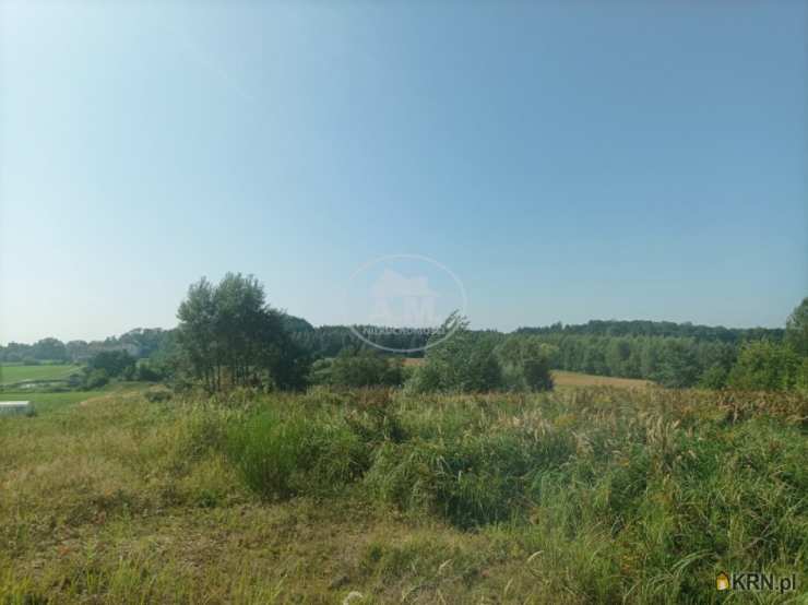 , Działki  na sprzedaż, Rościsławice, ul. 