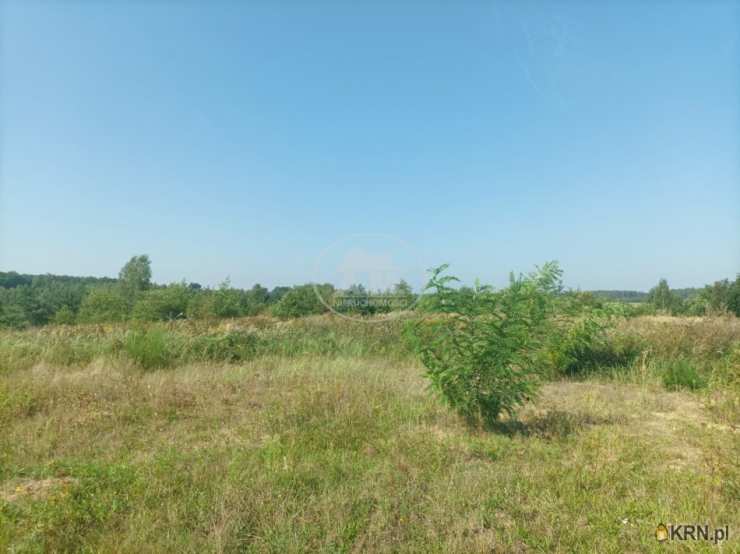 Działki  na sprzedaż, Rościsławice, ul. , 