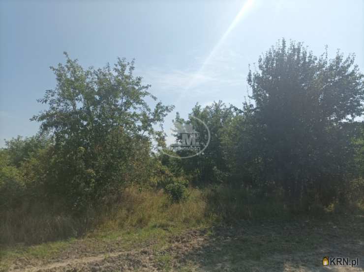 Działki  na sprzedaż, Rościsławice, ul. , 