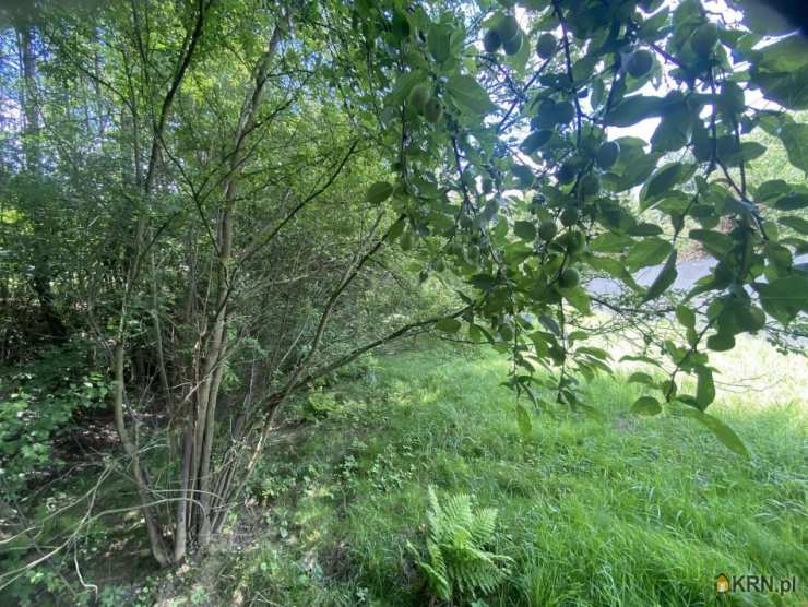 Działki  na sprzedaż, , Istebna, ul. 