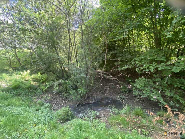 , Działki  na sprzedaż, Istebna, ul. 