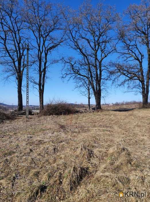 Działki  na sprzedaż, , Ciężkowice, ul. 