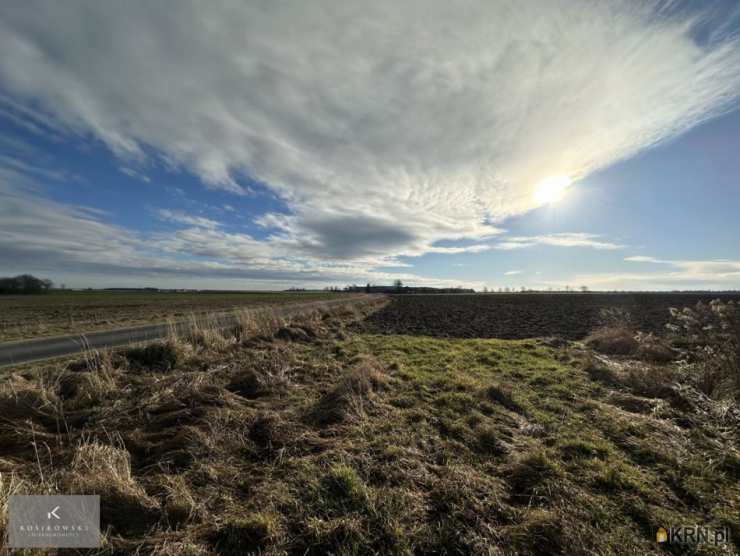 Dalborowice, ul. , Działki  na sprzedaż, 