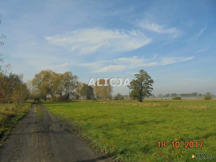 Działki  na sprzedaż, , Holendry Baranowskie, ul. 