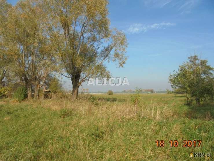 Holendry Baranowskie, ul. , , Działki  na sprzedaż