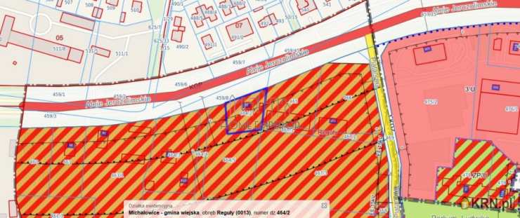 Działki  na sprzedaż, Reguły, ul. Królewska, 