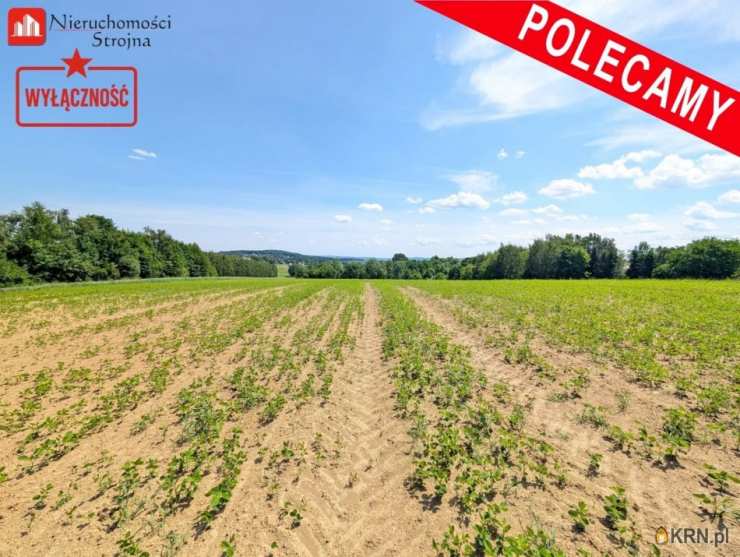 Działki  na sprzedaż, Sławkowice, ul. , 