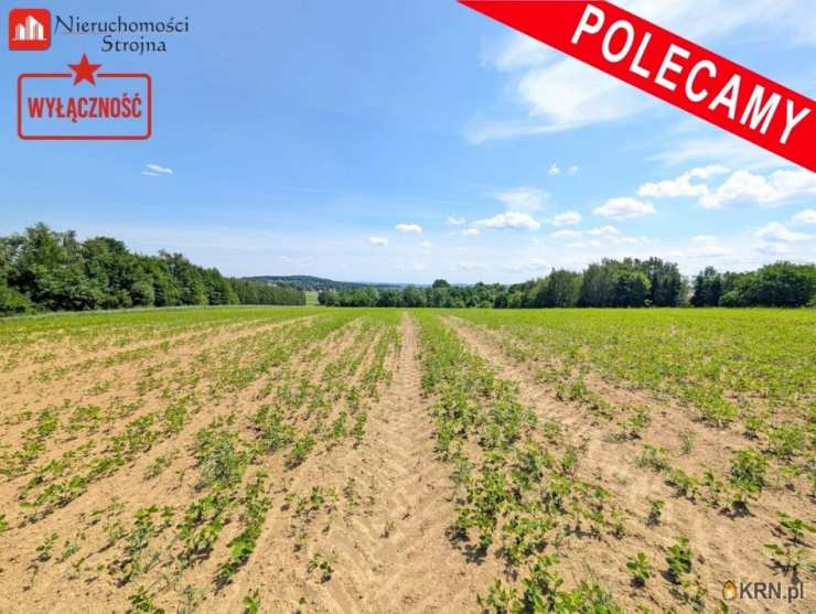 Działki  na sprzedaż, Sławkowice, ul. , 