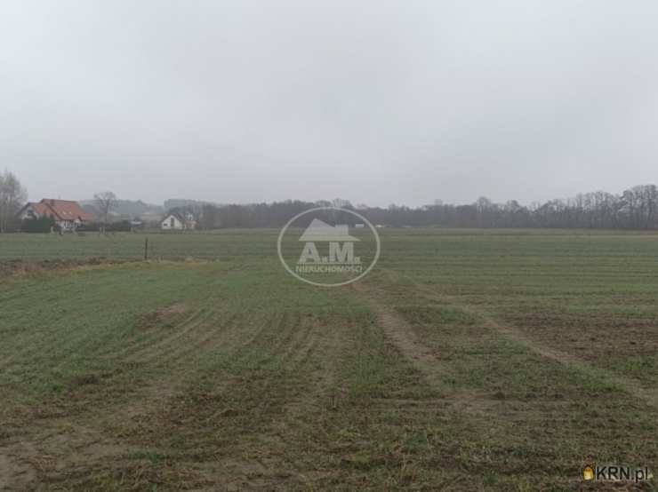 Tarnowiec, ul. , , Działki  na sprzedaż