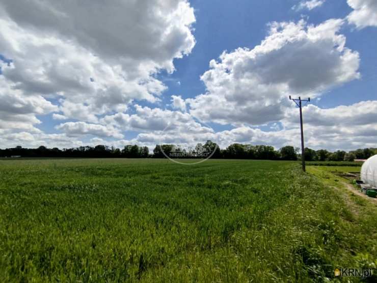 , Tarnowiec, ul. , Działki  na sprzedaż
