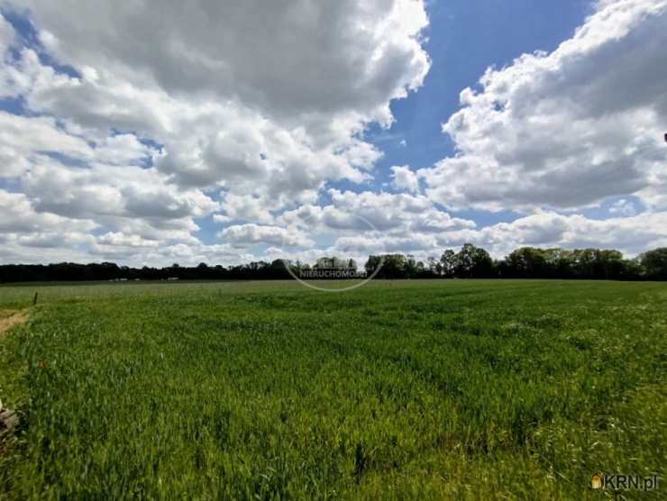 A.M.NIERUCHOMOŚCI Izabela Mateuszuk, Działki  na sprzedaż, Tarnowiec, ul. 