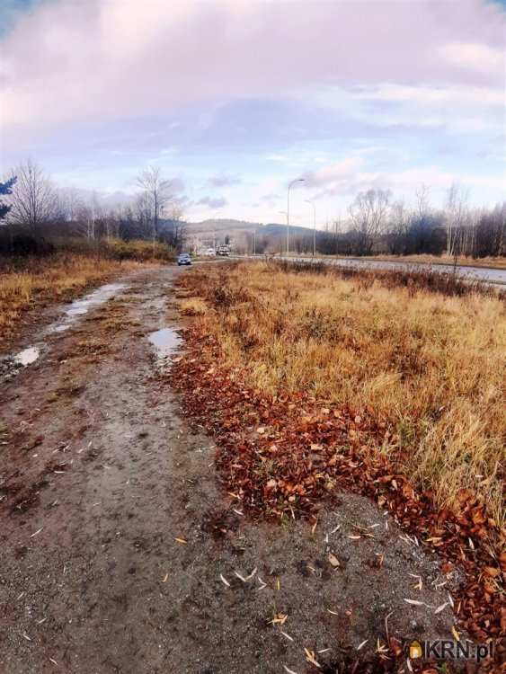 Wałbrzych, Biały Kamień, ul. , , Działki  na sprzedaż