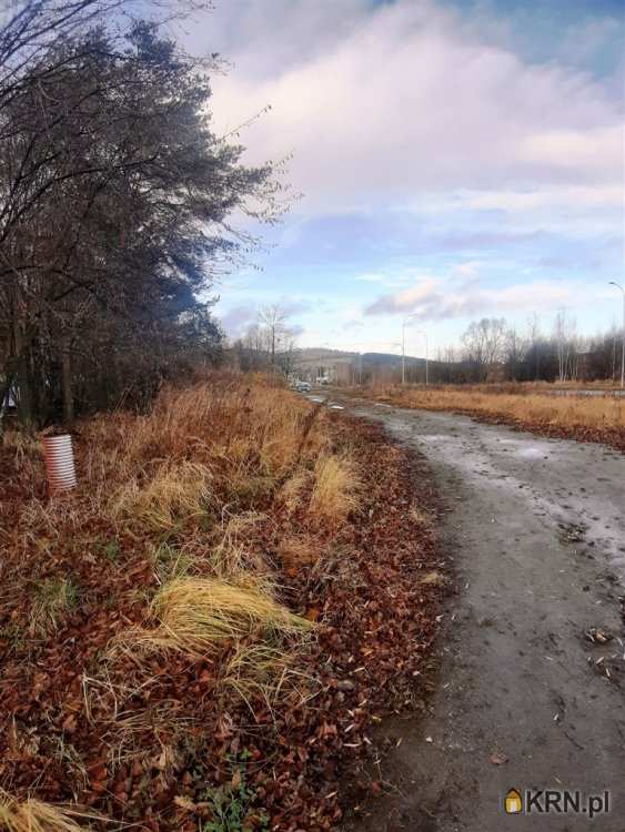 Wałbrzych, Biały Kamień, ul. , Działki  do wynajęcia, 