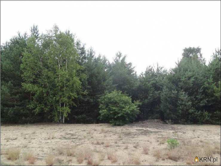 Działki  na sprzedaż, , Zazdrość, ul. 