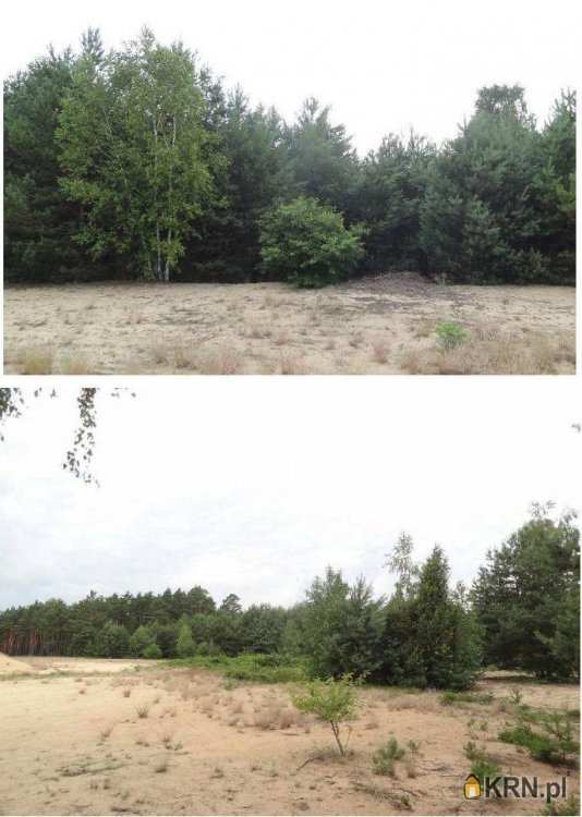 , Działki  na sprzedaż, Zazdrość, ul. 