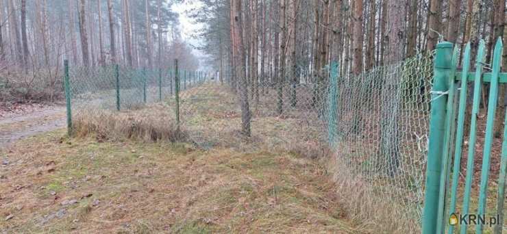 Działki  na sprzedaż, , Złotniki-Kolonia, ul. 