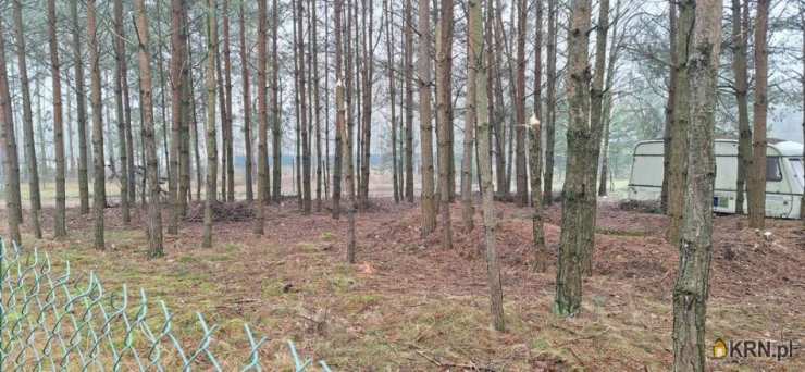 , Złotniki-Kolonia, ul. , Działki  na sprzedaż