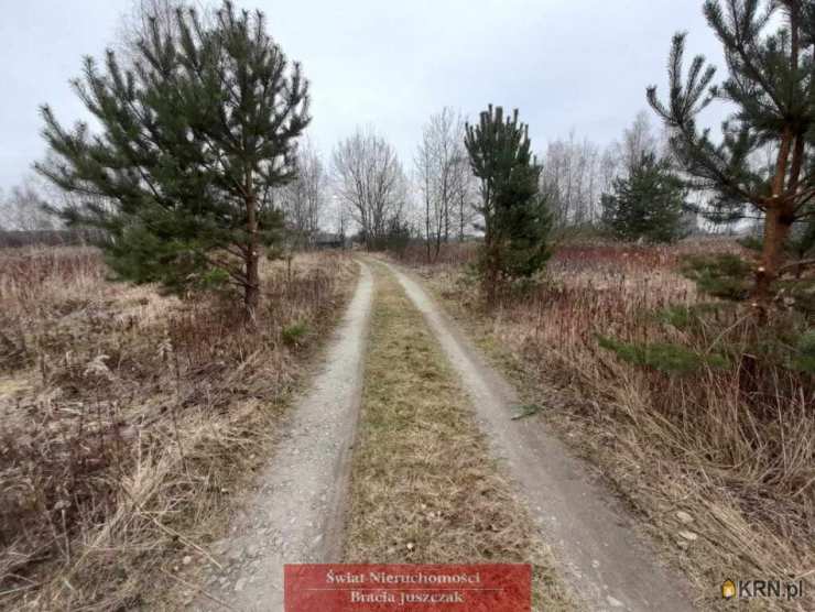 Działki  na sprzedaż, , Miłoszyce, ul. 