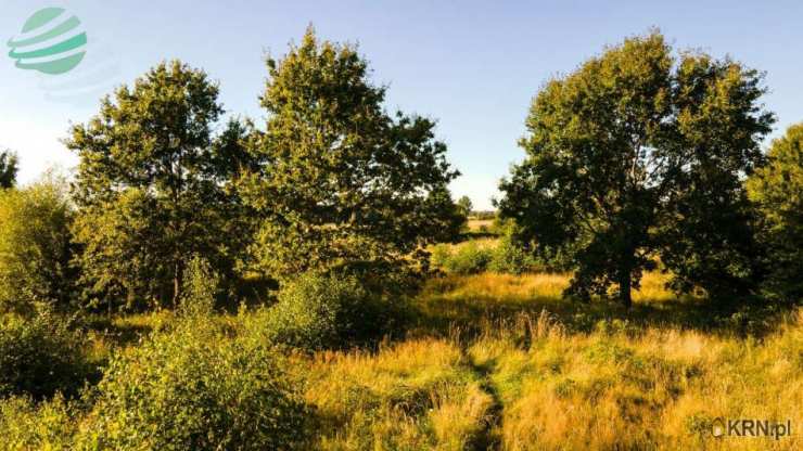 , Rusko, ul. , Działki  na sprzedaż