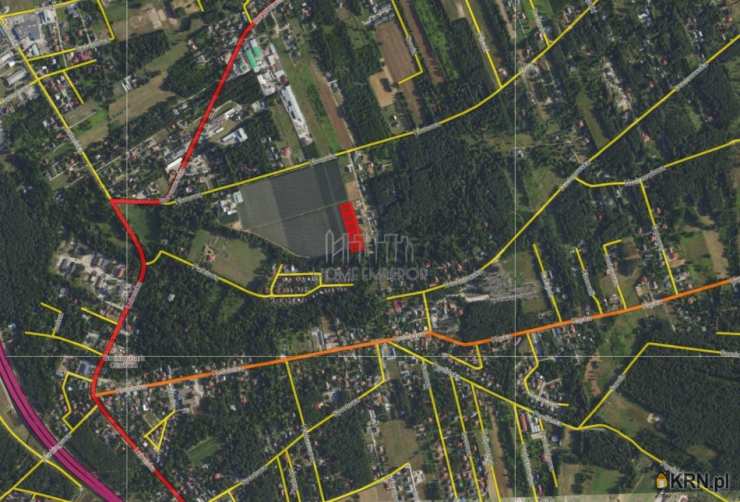 , Wiązowna, ul. Klonowa, Działki  na sprzedaż