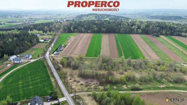 , Oblęgorek, ul. Gimnazjalna, Działki  na sprzedaż