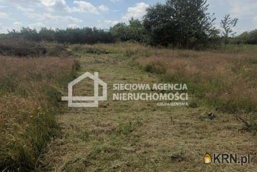 Sieciowa Agencja Nieruchomości Grupa Renoma, Działki  na sprzedaż, Mierzyno, ul. 