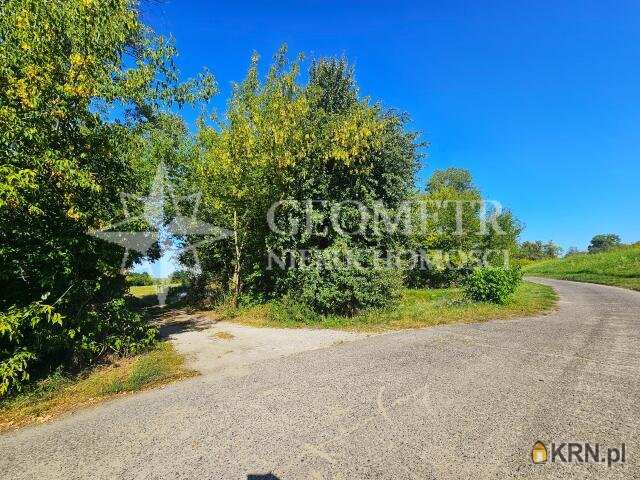 Działki  na sprzedaż, , Boża Wola, ul. Modrzewiowa