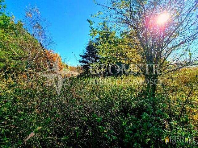 Działki  na sprzedaż, , Rajszew, ul. Mazowiecka