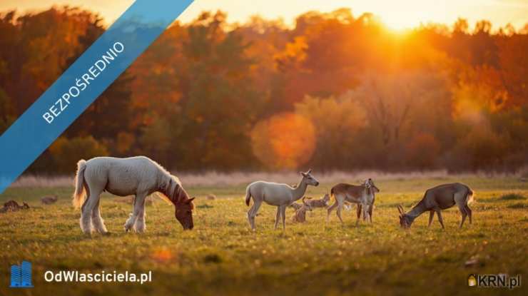 , Działki  na sprzedaż, Rydzów, ul. 