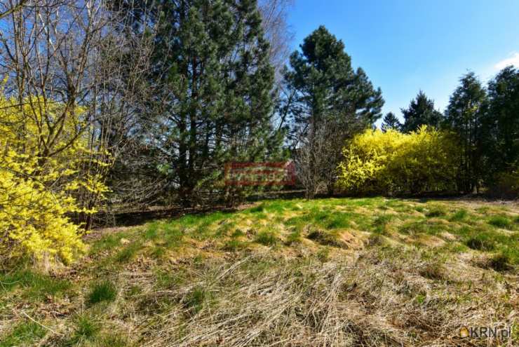 Działki  na sprzedaż, Maszyce, ul. , 