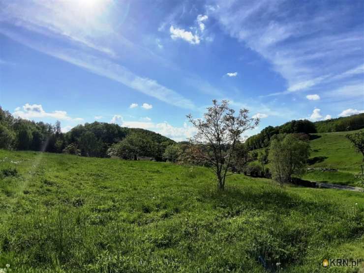 Działki  na sprzedaż, Cieszów, ul. , 