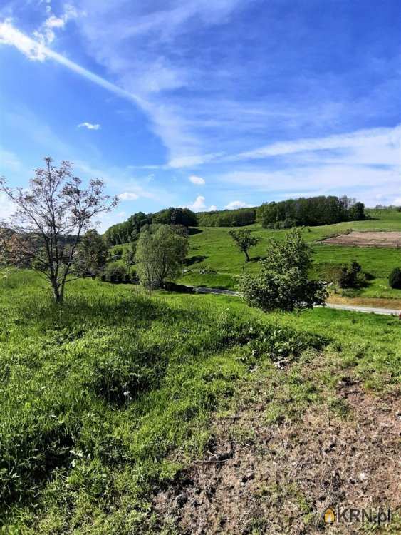 Cieszów, ul. , Działki  na sprzedaż, 