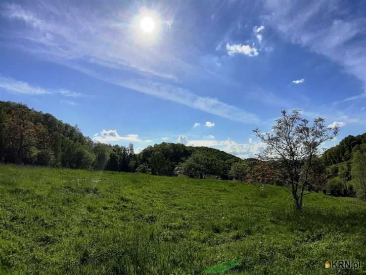 Cieszów, ul. , , Działki  na sprzedaż