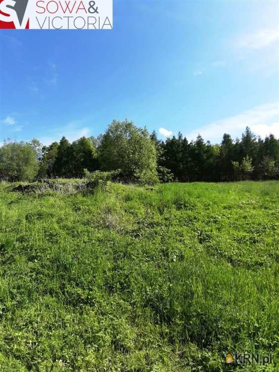 Działki  na sprzedaż, , Cieszów, ul. 