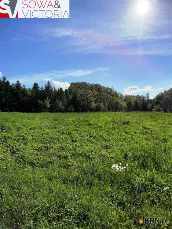 Cieszów, ul. , , Działki  na sprzedaż