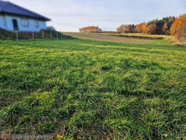 Działki  na sprzedaż, , Masłomiąca, ul. 