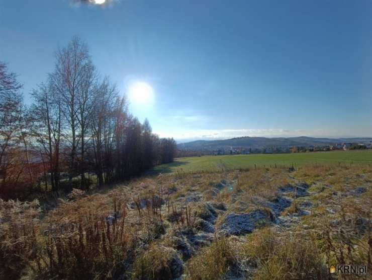 Działki  na sprzedaż, , Jeżów Sudecki, ul. 