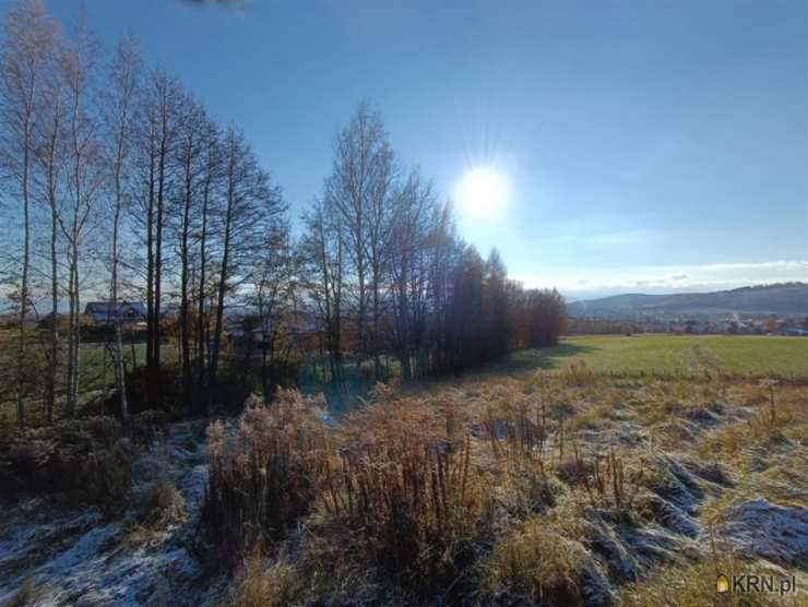 , Działki  na sprzedaż, Jeżów Sudecki, ul. 