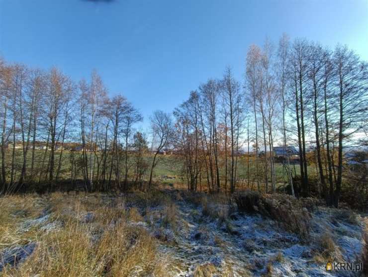 Biuro Nieruchomości SOWA, Działki  na sprzedaż, Jeżów Sudecki, ul. 