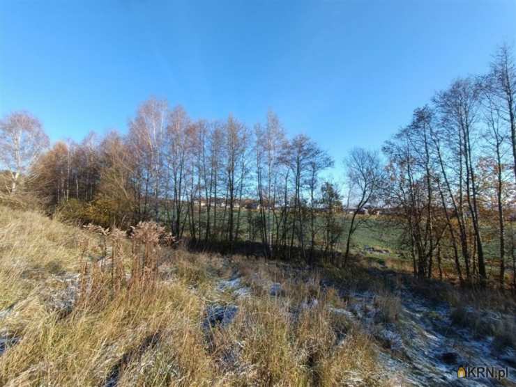 Działki  na sprzedaż, Jeżów Sudecki, ul. , 