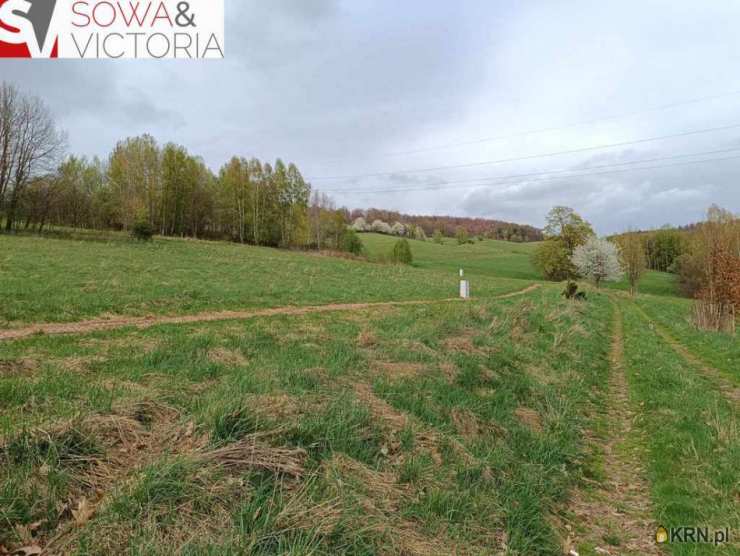 Głuszyca, ul. , Działki  na sprzedaż, 