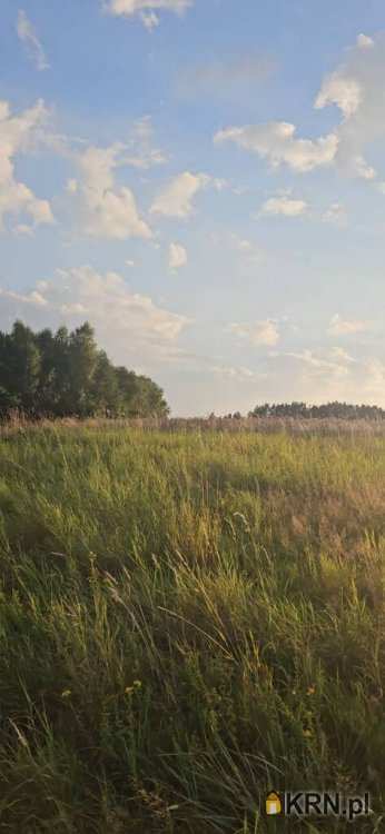 Bogoniowice, ul. , Działki  na sprzedaż, 
