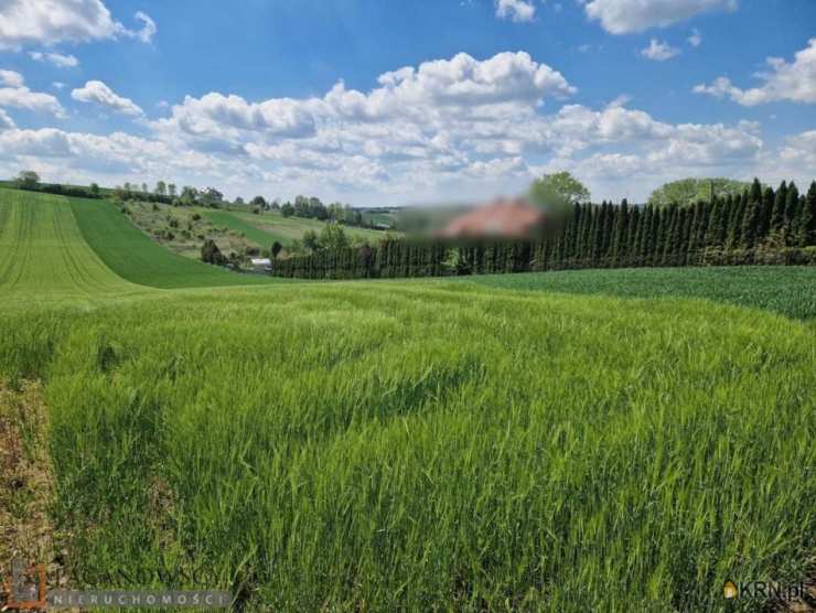 Masłomiąca, ul. , Działki  na sprzedaż, 