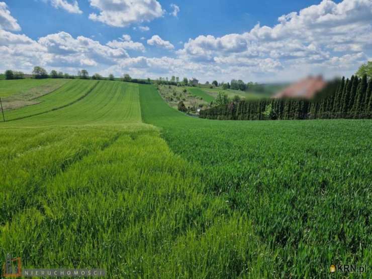 Masłomiąca, ul. , Działki  na sprzedaż, 
