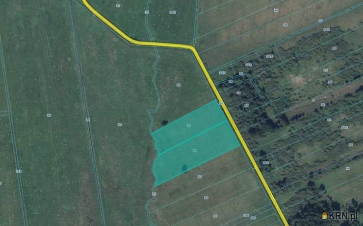 Działki  na sprzedaż, , Rychlik, ul. 