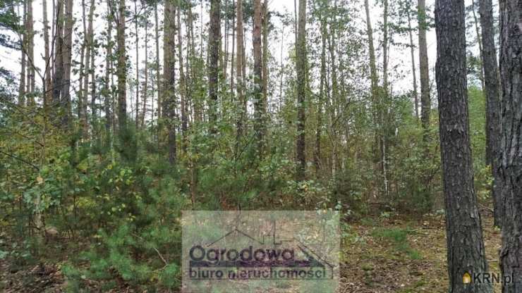 Wilcza Góra, ul. , Działki  na sprzedaż, 