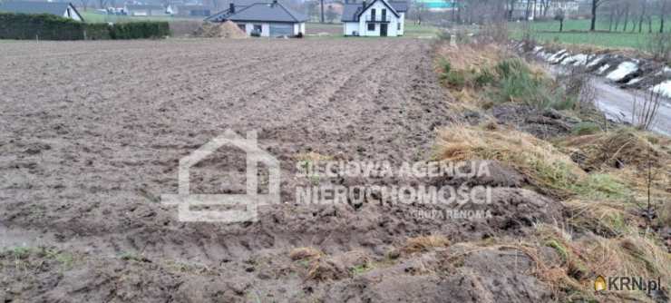 Wyszecino, ul. , , Działki  na sprzedaż