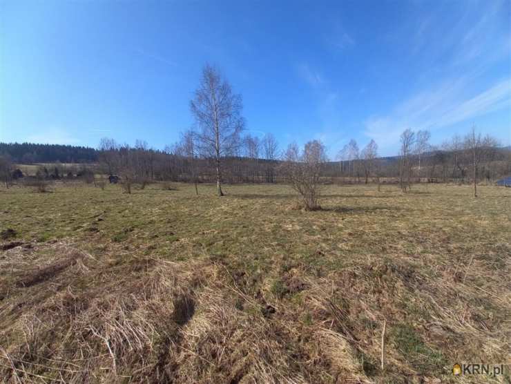 Działki  na sprzedaż, Sierpnica, ul. , 