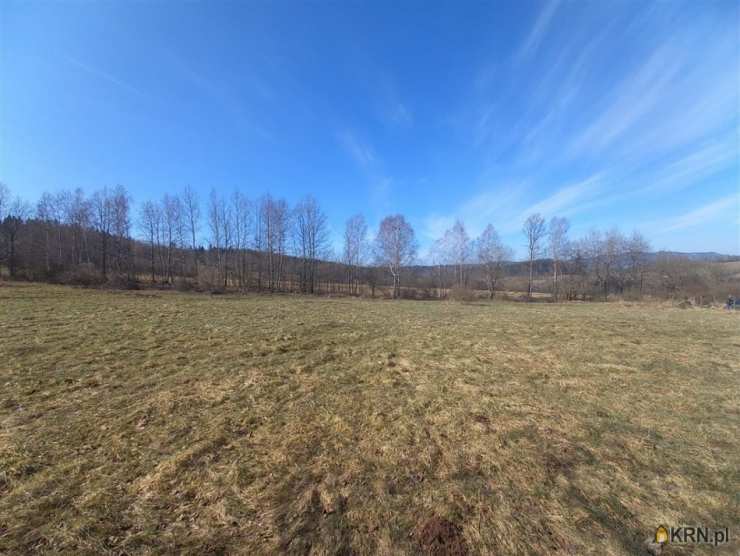 Działki  na sprzedaż, , Sierpnica, ul. 