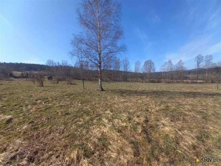 Sierpnica, ul. , Działki  na sprzedaż, 